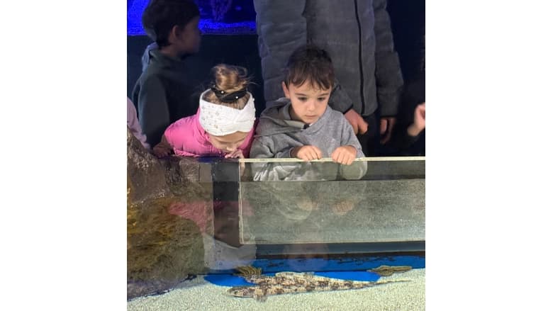 1A and 2A visit Akvarijum Boka