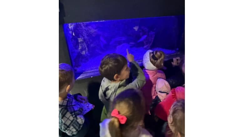 1A and 2A visit Akvarijum Boka