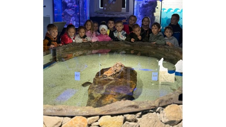 1A and 2A visit Akvarijum Boka